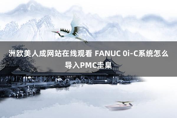 洲欧美人成网站在线观看 FANUC 0i-C系统怎么导入PMC圭臬